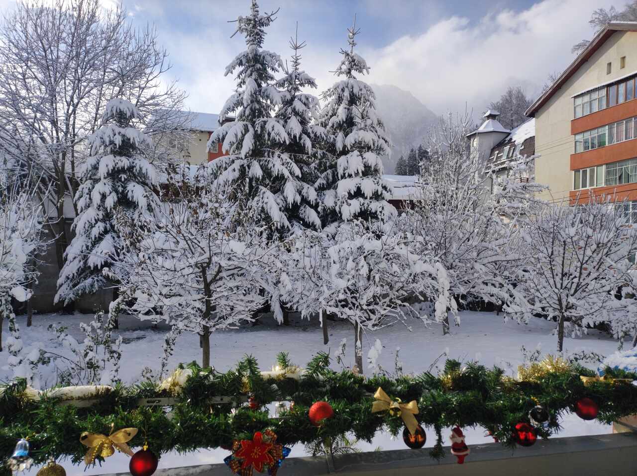 Little Bear Bușteni - Winter yard view