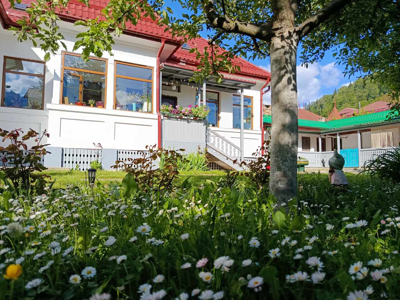 House viewed from the garden
